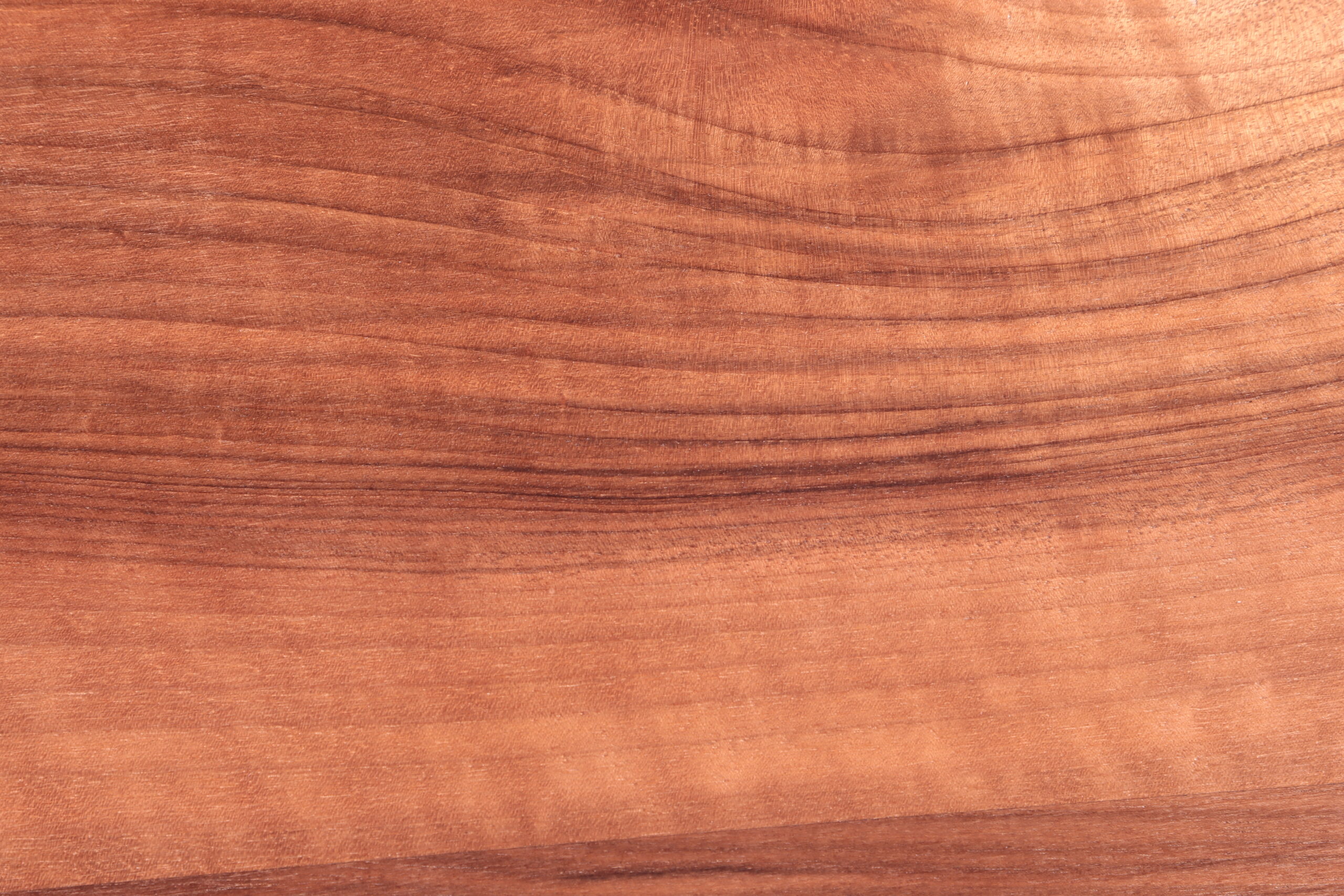 legno di noce esempio di textrue